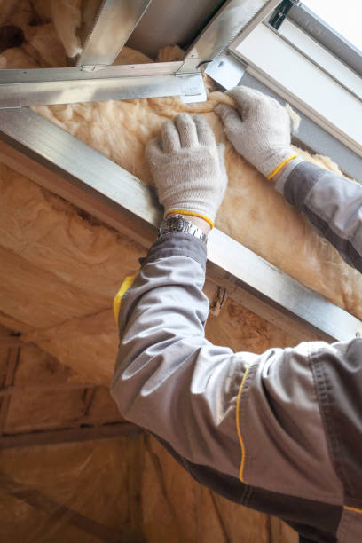 Best Professional Insulation Contractor  in USA